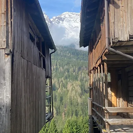 Cedae Meia アパート *