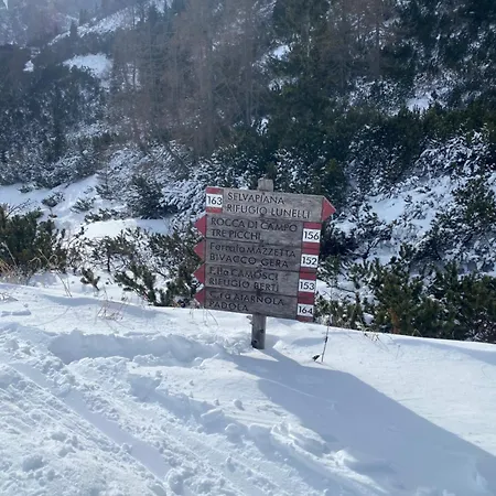 Cedae Meia Daire Dosoledo