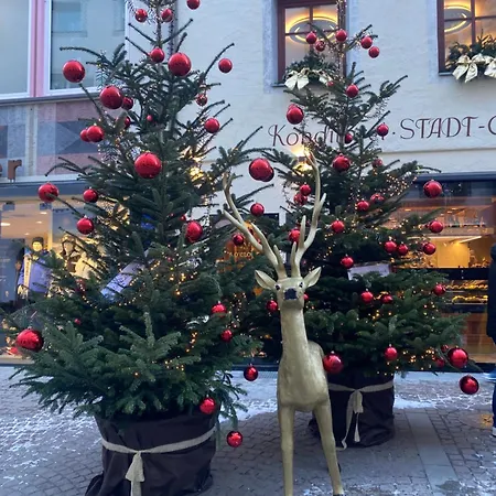 Cedae Meia アパート Dosoledo