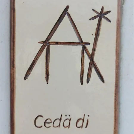 Cedae Meia