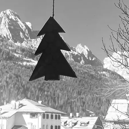 Cedae Meia * Dosoledo