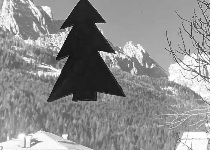 Cedae Meia * Dosoledo