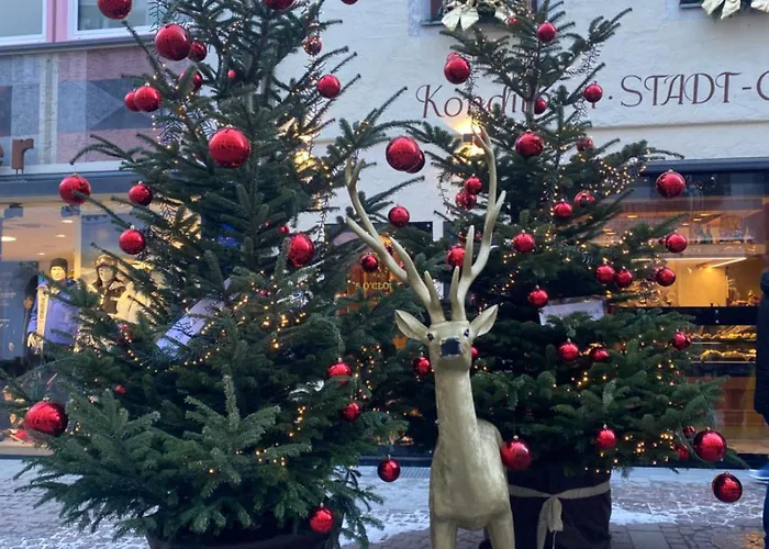 Cedae Meia Апартаменты Dosoledo