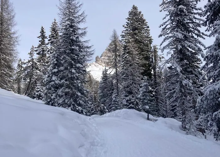 Cedae Meia شقة Dosoledo