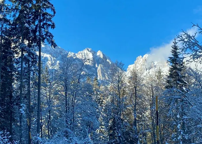 Apartmán Cedae Meia Dosoledo